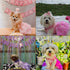 SMALLLEE_LUCKY_STORE Pet Small Dog Wedding Dress with Bowknot - Birthday Party Costume, Satin Rose Pearls, Girl Formal