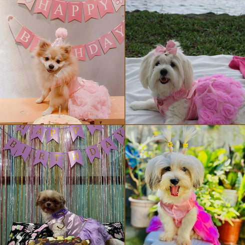 SMALLLEE_LUCKY_STORE Pet Small Dog Wedding Dress with Bowknot, Pink, Large, Birthday Party Costume