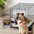 Stainless Steel Dog Crate Water Bowl, No Spill, 2 Pack Hanging Bowls for Medium Large Dogs, Metal Pet Feeder Dish