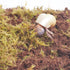 Begeterday 3PCS, 2PCS 15oz 1PCS 3.5oz Hermit Crab Accessories Include Coco Coir Brick, Moisture-Retaining Substrate