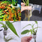 Obotsnoi Plant Stand Holder for Decorative Cups Aquariums for Water Emersed Decorations Bulk Aquarium Wall