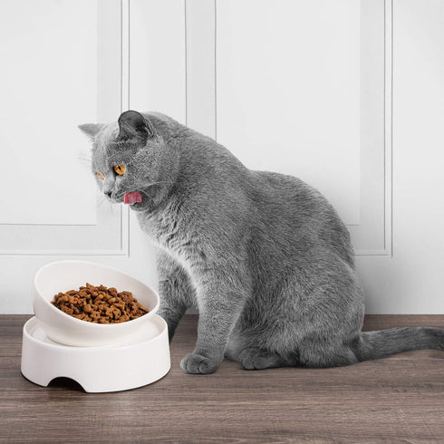 CatGuru Food Table for Cat Bowl, Non Slip Elevated Feeder for Food and Water Cat Bowls, Marshmallow