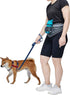 Pack Blueberry Style Grey Bumbag Waist Bag Fanny for Walking Running - Built-in Poop Bag Holder, Dog Treat Pouch