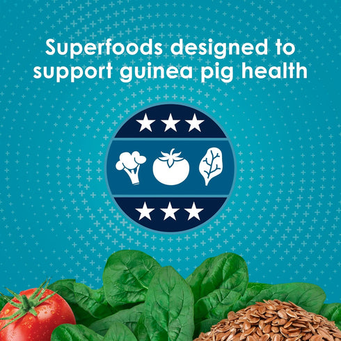 Immune 5 Kaytee Forti-Diet Pro Health Nourish+Protect Guinea Pig Food, Comprehensive Nutrition Backed by Science