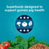 Immune 5 Kaytee Forti-Diet Pro Health Nourish+Protect Guinea Pig Food, Comprehensive Nutrition Backed by Science