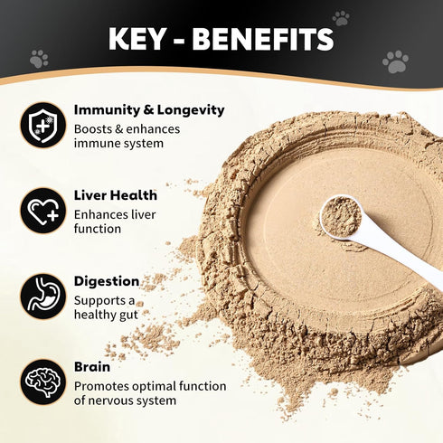 120 8 Immune, Mushroom Powder Supplements for Dogs and Cats Lump & Bumps Scoops Types of Mushrooms Blend Herbal