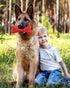 German Shepherd Dog Chew Toys - Indestructible Beef Flavored Durable Rubber Bone Toy for Large/Medium Dogs