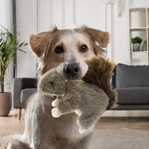 Vaulted Skulls & Co 6" Squirrel Dog Toy w/ Squeaker | Plush Squirrels Dogs Toys | Stuffed Squeaky Squirrel Toy for Pets