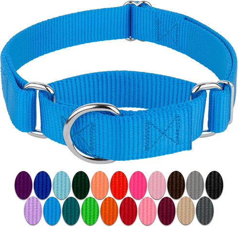Country Brook Petz Heavy-Duty Martingale Dog Collar - No Buckle Training Collar for All Pups - Vibrant Colorful