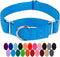 Country Brook Petz Heavy-Duty Martingale Dog Collar - No Buckle Training Collar for All Pups - Vibrant Colorful