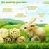 Bac-kitchen 8 Chinchilla (8Pcs) Pcs Small Animals Play Balls Rolling Activity Chew Toys Gnawing Treats for Rabbits