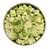 #2.5 25+ 2 oz Future Essentials Canned Chopped Freeze Dried Broccoli Size Can of Broccoli Bites with Year Shelf Life