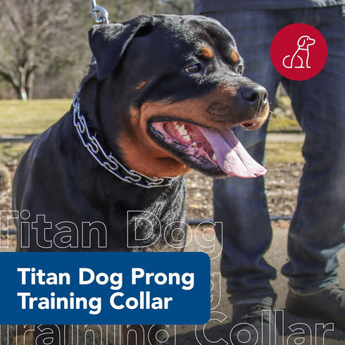 Coastal Pet Titan Dog Prong Training Collar, Rust-Resistant Metal for Dog Training - Quality Dog Supplies - 4 mm x 22"