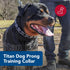 Coastal Pet Titan Dog Prong Training Collar, Rust-Resistant Metal for Dog Training - Quality Dog Supplies - 4 mm x 22"