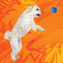 Nerf Dog Soccer Ball Toy, Interactive Squeaker, 2.5 Inches, Medium/Large Breeds, Two Pack, Blue & Red