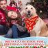 120 Set 30 Sanwuta Pcs Christmas Dog Bandanas Bulk Xmas Bandanas for Dogs Triangle Kerchief Bibs Scarf for Pet