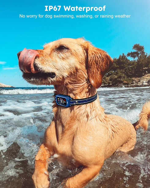 Dog Bark Collar - Automatic Anti Barking Collar with 8 Sensitivity Levels, Rechargeable, Waterproof for All Dog Sizes