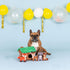 Fringe Studio Hide & Seek Burrow Plush Dog Toy Set, ON Cabin TIME (289215), Multicolor