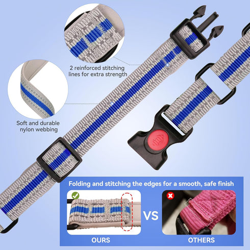 Martingale Collar for Dogs, Soft Neoprene Padded Reflective Collar and Leash Set for Large Dogs - Blue & L