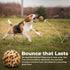 Unique Sports Dog Fetch Squeaker Balls Animal Prints 18 Pack