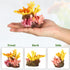 Aquarium Coral Reef Decor, Artificial Resin Coral Decoration Ornaments for Goldfish Betta Fish Tank Accessories