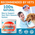 Omega 3 Fish Oil for Dogs, 360 Ct, Skin & Coat Chews, Allergy Support, Salmon Oil for Joint Health