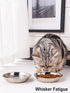 VENTION Whisker Fatigue Stainless Steel Cat Bowls, Shallow Metal Cat Food Dishes