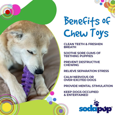 SodaPup Fish Bone – Durable Dog Chew Toy Made in USA from Non-Toxic, Pet Safe, Food Safe Nylon Material for Mental