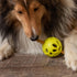Messy Mutts Totally Pooched Huff'n Puff Ball, 2.5” TPR Puzzle Ball for Dogs, Durable Interactive Toy
