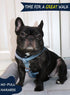ARING PET Adjustable Heavy Duty Velvet No Pull Dog Halter Harness for Small to Large Dogs