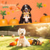Maitys 40 Pcs Thanksgiving Dog Bow Ties - Autumn Turkey Pumpkin Adjustable Pet Ties for Grooming Accessories