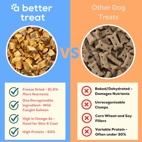 A Better Treat Freeze Dried Salmon Dog Treats - Wild Caught, Gluten Free, High Protein, Made in The USA