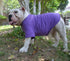 Lovelonglong Bulldog Clothes - Blank T-Shirt Tee for French Bulldog, English Bulldog, American Pit Bull, Pugs - Purple