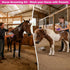 Set Set Horse Grooming Kit, Horse Brushes for Grooming Supplies with Organizer Bag, Horses Tack Brush for Effective