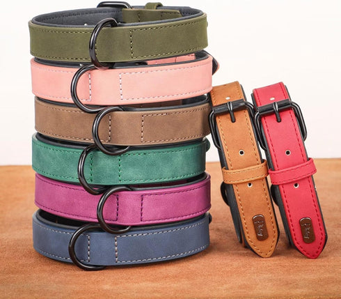 Didog Soft Padded Leather Dog Collar - Breathable Heavy Duty with Adjustable Rust-Proof Metal Buckle for Small Medium