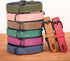 Didog Soft Padded Leather Dog Collar, Heavy Duty Adjustable Leather Collar with Rust-Proof Metal Buckle for Small