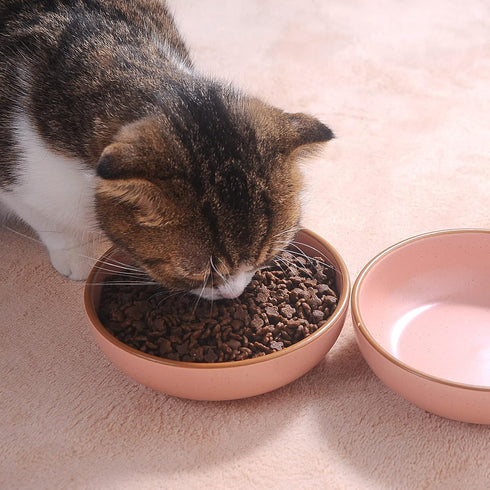 Ceramic Cat Bowls, Howise Pet Dishes for Food and Water, 5.19 in Cat Food Bowl 3 Pack, Matte Pink Finish
