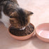 Ceramic Cat Bowls, Howise Pet Dishes for Food and Water, 5.19 in Cat Food Bowl 3 Pack, Matte Pink Finish