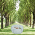 Small Animal Cage Tent Playpen with Fabric, Breathable Transparent Pet Playpen, Portable Yard Fence for Outdoor/Indoor
