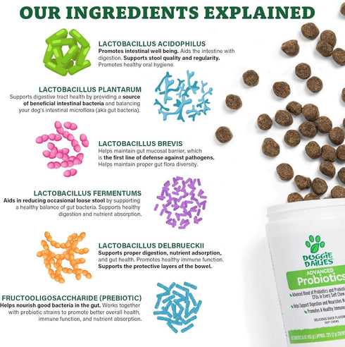 Doggie Dailies Probiotics for Dogs, Advanced Probiotics with Prebiotics, Supports Immune System and Digestive Health