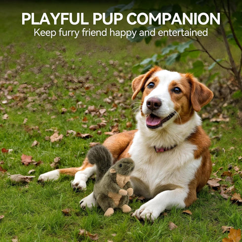 Classic Squirrel Pet Toy for Small Dogs