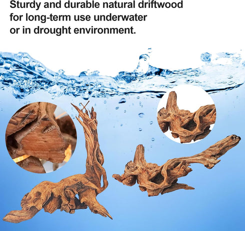 FUNOJOY Natural Driftwood Decor for Aquarium, Assorted Wood Branches for Reptile Fish Tank, Pack of 2 (7.5 to 10 Inch)