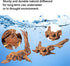 FUNOJOY Natural Driftwood Decor for Aquarium, Assorted Wood Branches for Reptile Fish Tank, Pack of 2 (7.5 to 10 Inch)