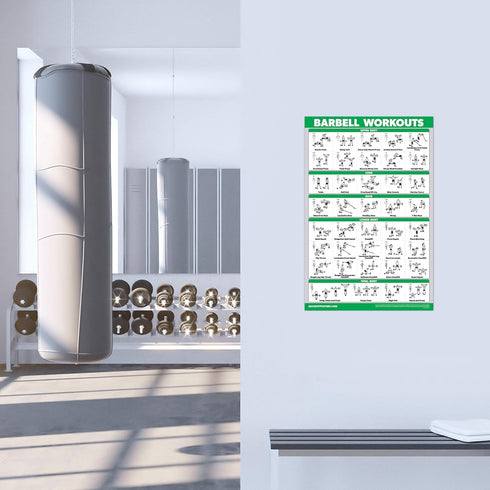 QUICKFIT 3 Pack Workout Charts, Dumbbell Workouts, Bodyweight Exercises, Barbell Routine Posters, Laminated, 18" x 24"