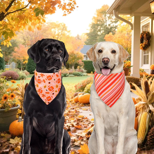 Agroon 3PCS, 6 Thanksgiving Dog Bandanas XLarge Pattern Fall Scarf for Boy and Girl, Pumpkin Leaves Rugby Triangle