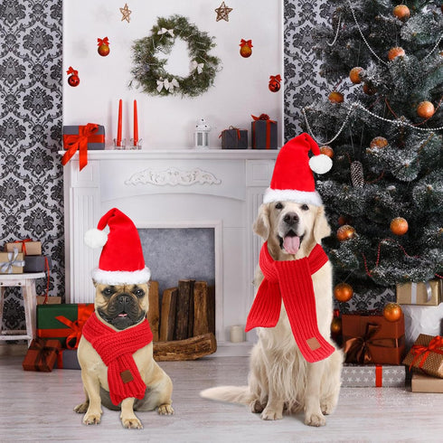 Rypet Dog Santa Hat and Scarf - Christmas Costumes for Small to Medium Dogs and Cats