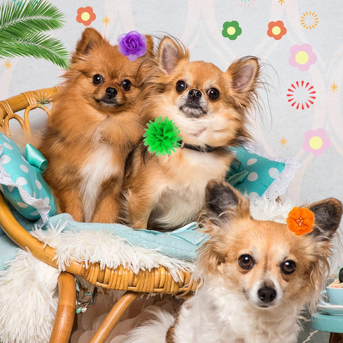 42 Pcs Dog Collar Flowers, Cute Dog Grooming Bows, Accessories for Dog Collars, Flower Bow Ties for Pets