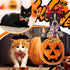 120 Pcs Halloween Dog Bow Tie Collar Set, Includes 60 Pumpkin Bow Ties, 30 Dog Neckties, 30 Large Bow Tie Collars, Pet