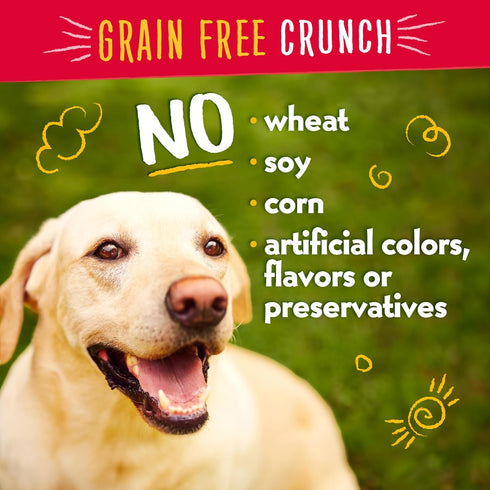 Charlee Bear Dog Treats for Small Dogs, Training Treats Crunchy Low Cal, Grain Free, USA, Puppy Training Treats (Bacon