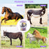 9-Piece Set Complete Horse Grooming with Tote Bag - Essential Tools for Beginners (Purple)